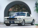 Shelby GT350 1965 images