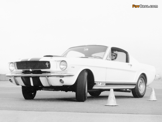 Shelby GT350 1965 images (640 x 480)