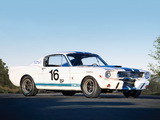 Shelby GT350R 1965 images