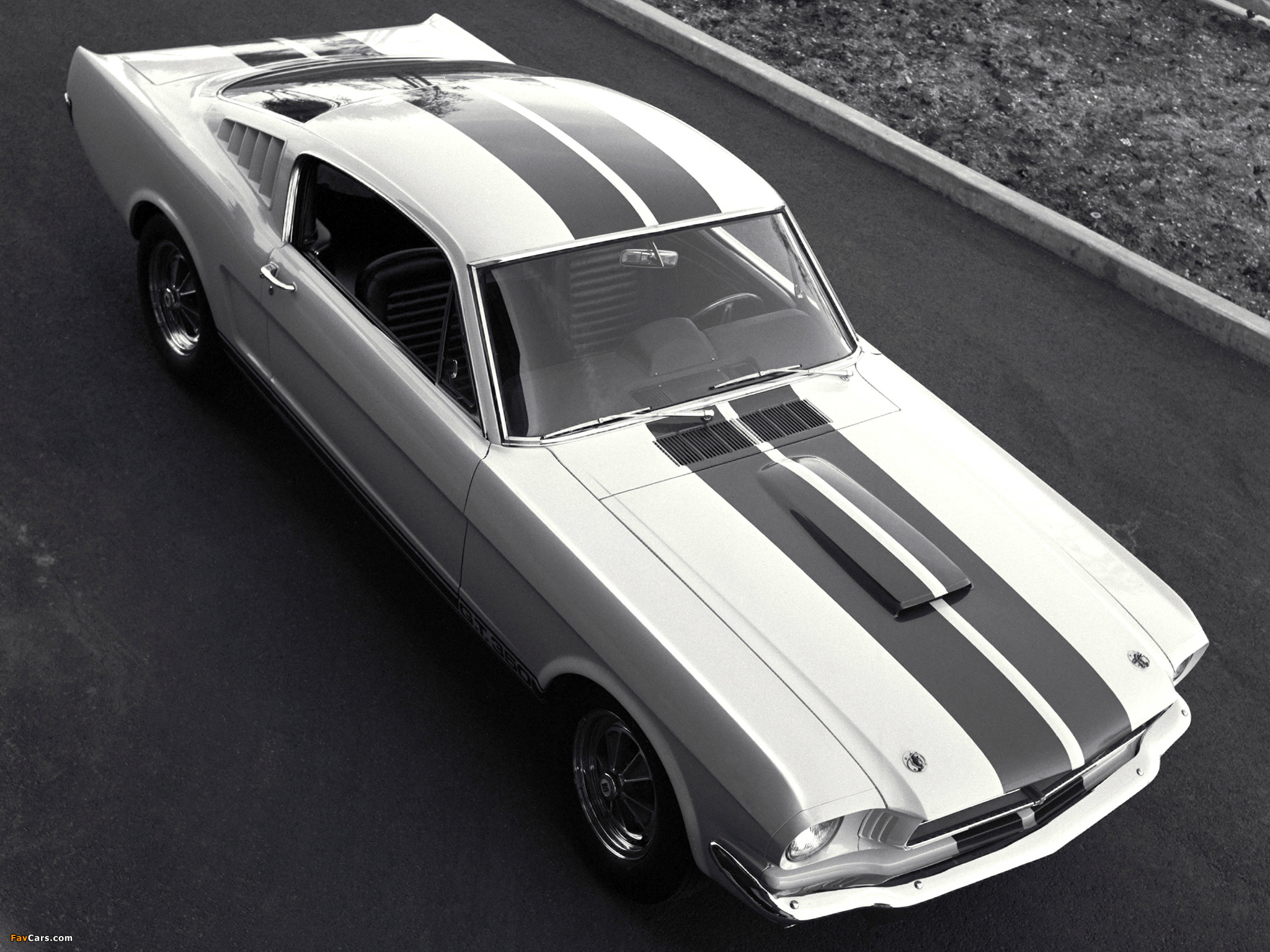 Shelby GT350 1965 photos (2048 x 1536)
