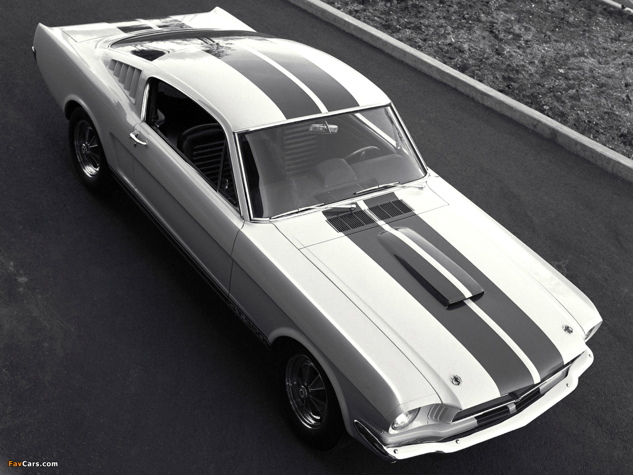 Shelby GT350 1965 photos (1280 x 960)