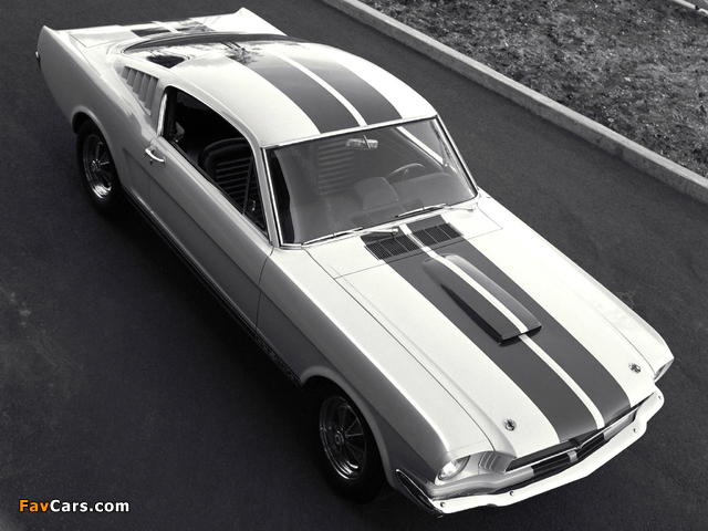 Shelby GT350 1965 photos (640 x 480)