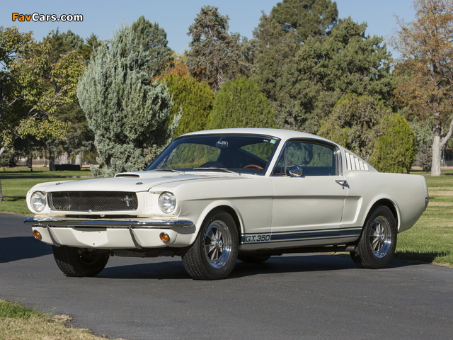 Shelby GT350 1965 pictures (640 x 480)