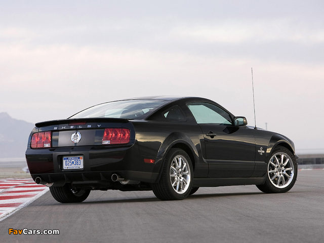 Images of Shelby GT500 KR 40th Anniversary 2008 (640 x 480)