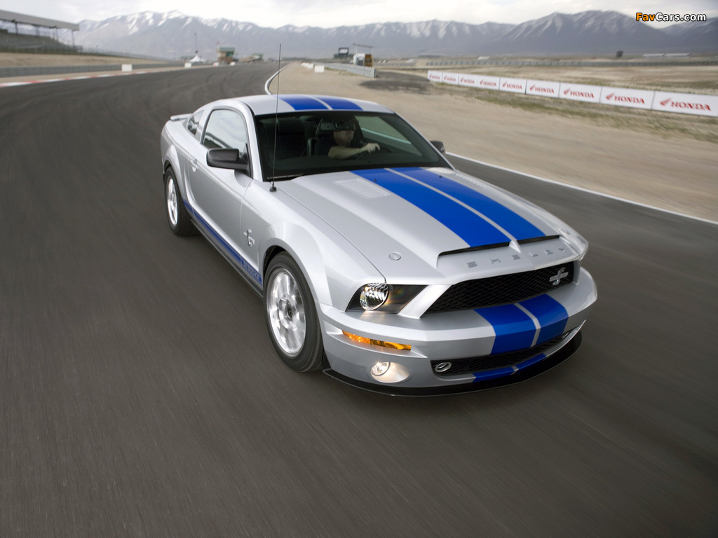 Pictures of Shelby GT500 KR 40th Anniversary 2008 (1024 x 768)