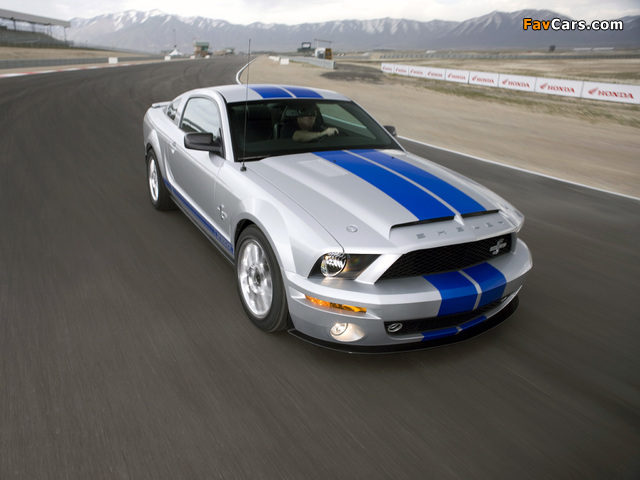 Pictures of Shelby GT500 KR 40th Anniversary 2008 (640 x 480)