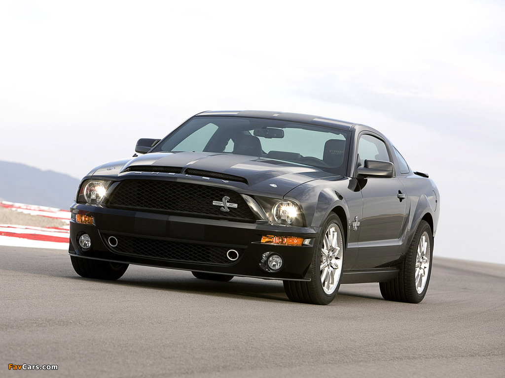Shelby GT500 KR 40th Anniversary 2008 images (1024 x 768)