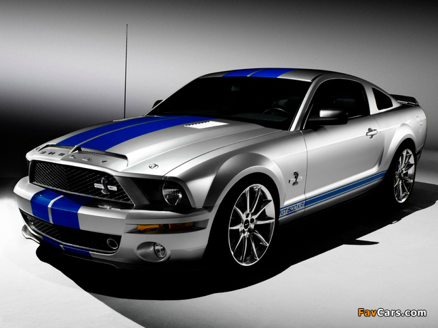 Shelby GT500 KR 40th Anniversary 2008 images (640 x 480)