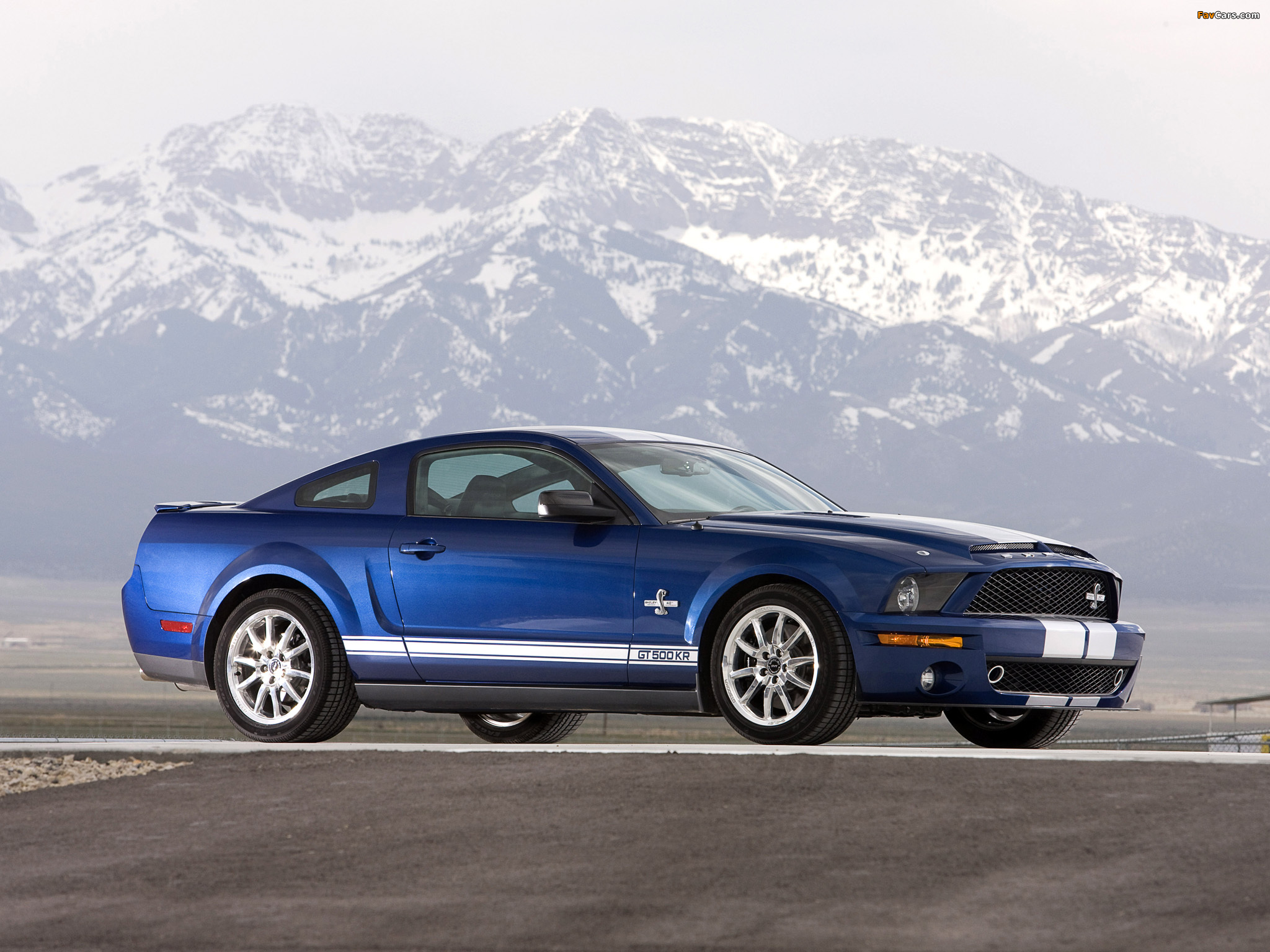 Shelby GT500 KR 40th Anniversary 2008 images (2048 x 1536)