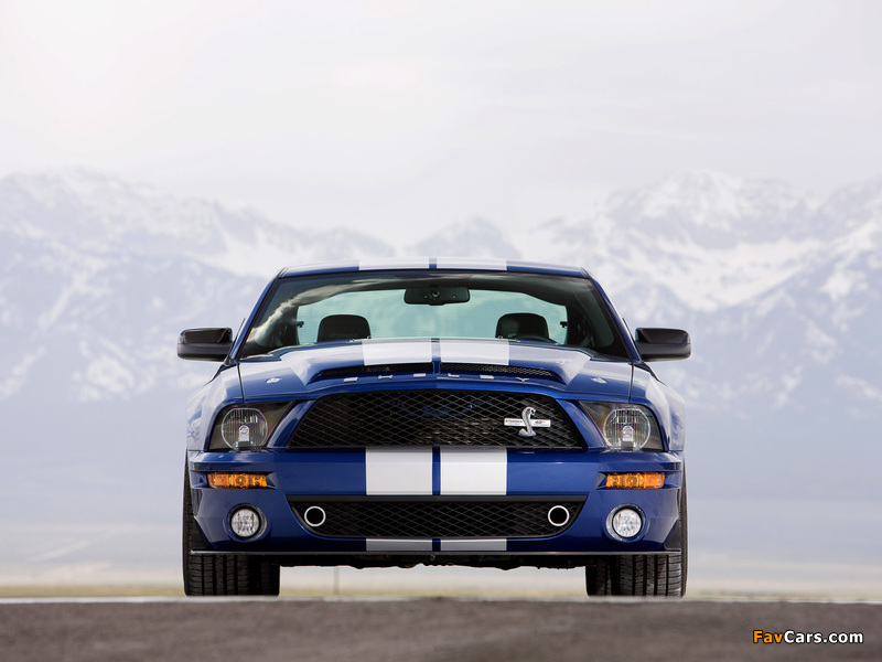 Shelby GT500 KR 40th Anniversary 2008 pictures (800 x 600)
