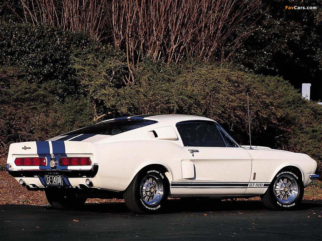 Images of Shelby GT500 1968 (1024 x 768)