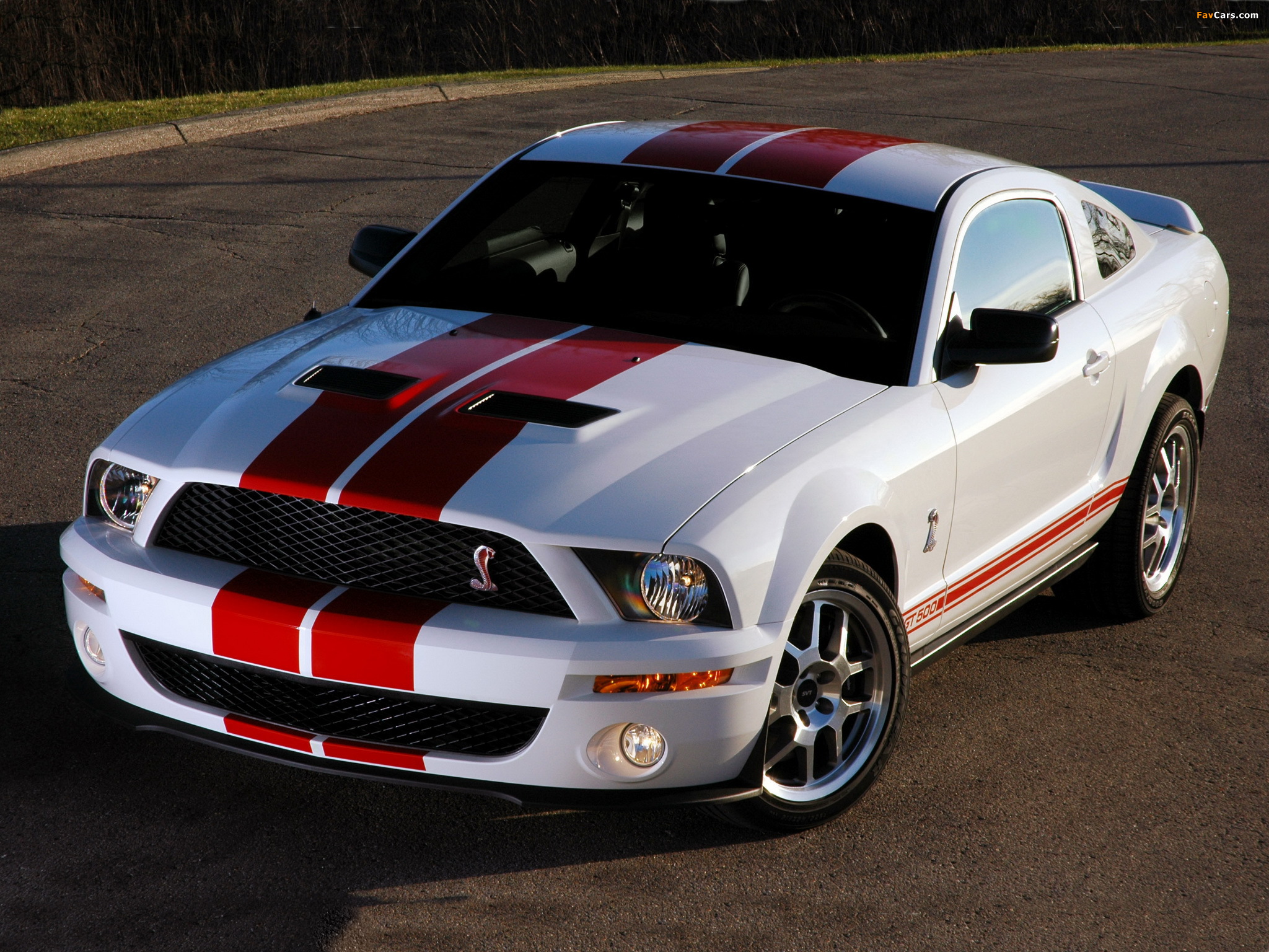 Images of Shelby GT500 Red Stripe Appearance Package 2007 (2048 x 1536)