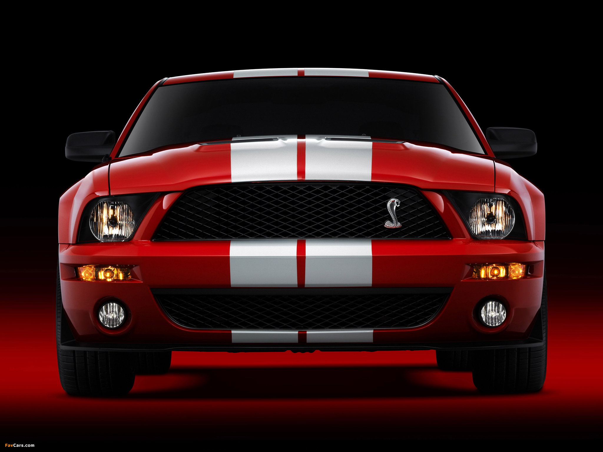 Photos of Shelby GT500 2005–08 (2048 x 1536)