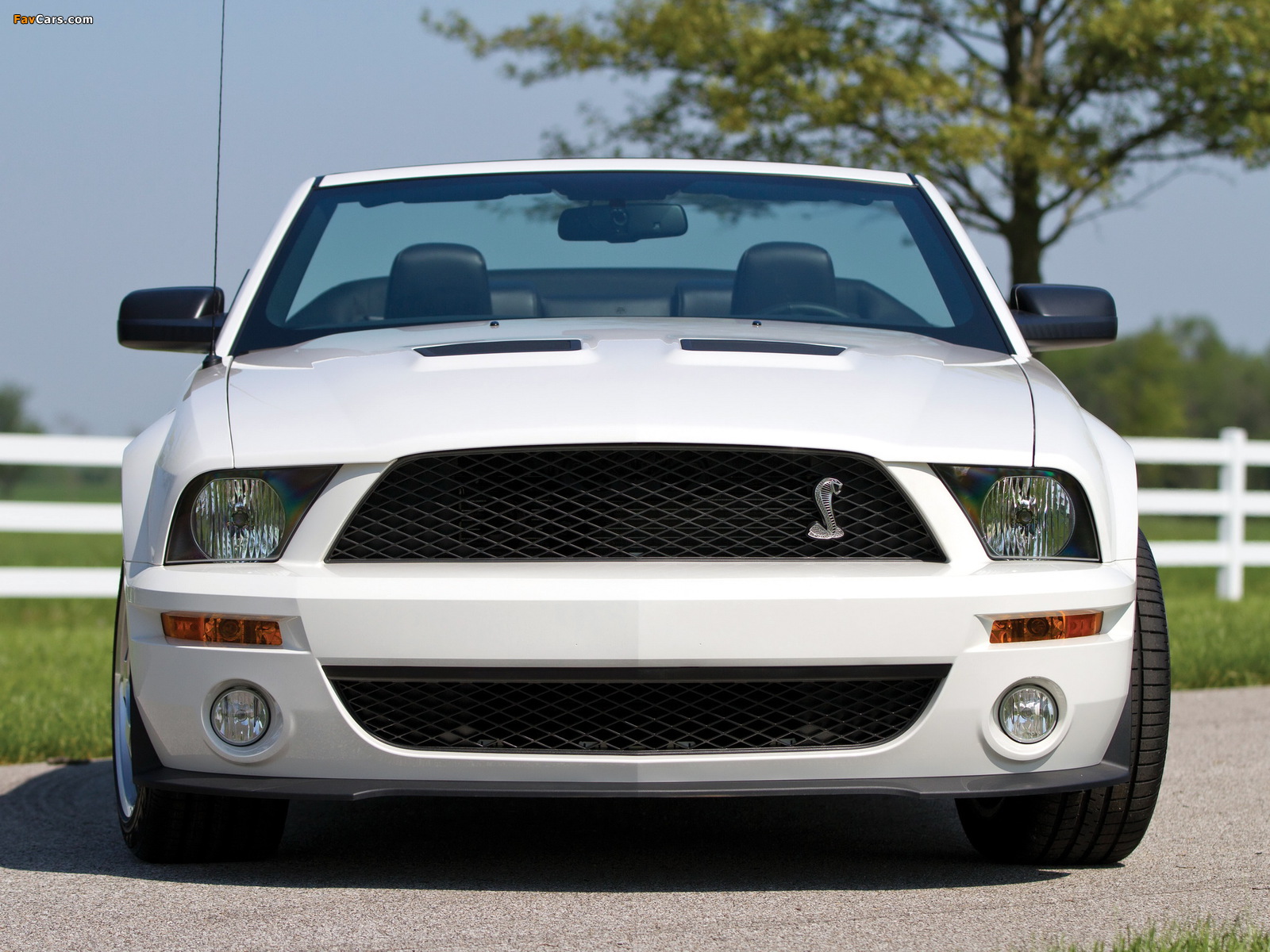 Pictures of Shelby GT500 Convertible 2005–08 (1600 x 1200)