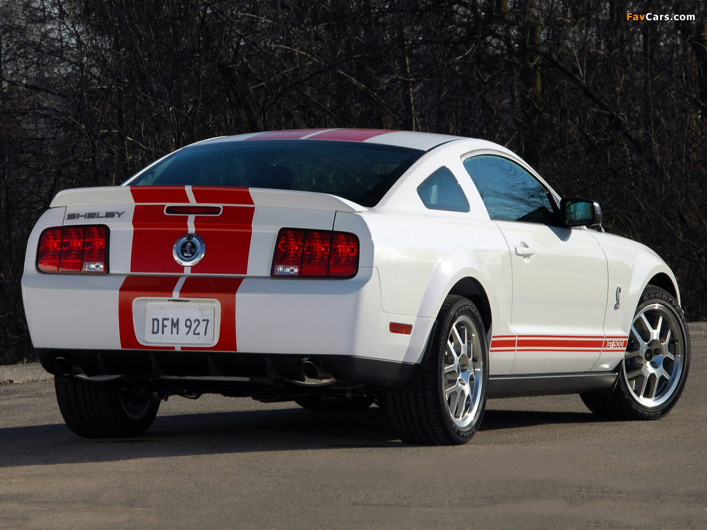 Pictures of Shelby GT500 Red Stripe Appearance Package 2007 (1024 x 768)