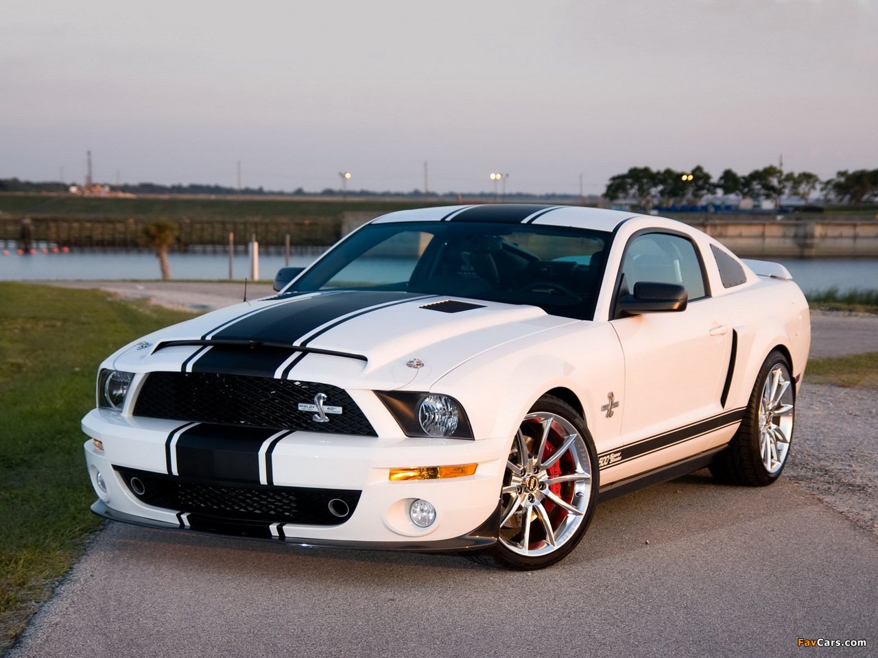 Pictures of Shelby GT500 Super Snake 2008–10 (1280 x 960)