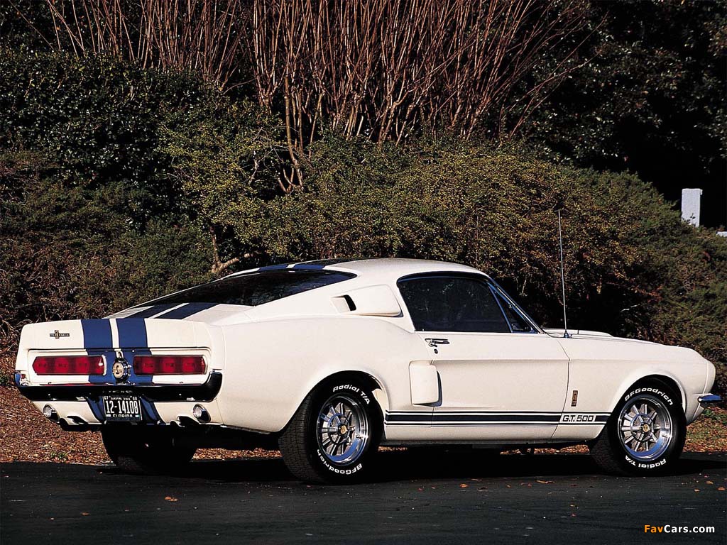 Shelby GT500 1968 images (1024 x 768)