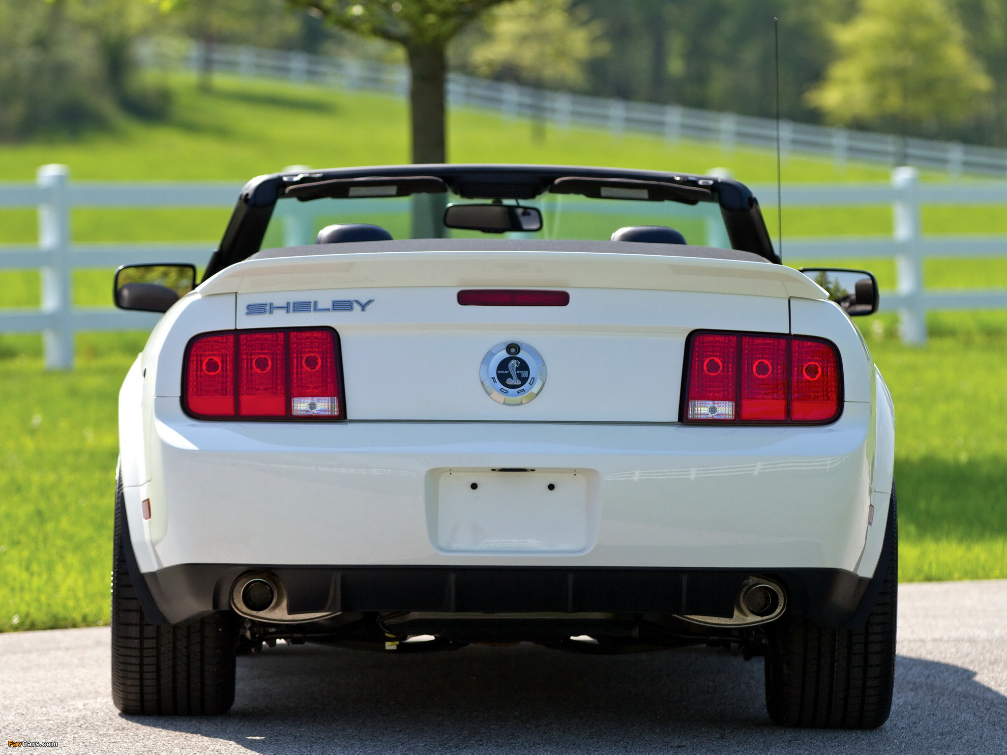 Shelby GT500 Convertible 2005–08 pictures (2048 x 1536)