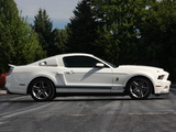 Shelby GT500 Patriot Edition 2009 images