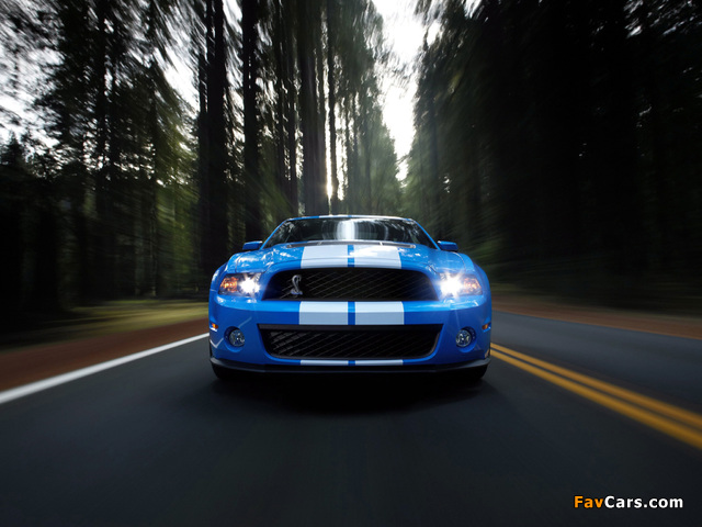 Shelby GT500 2009–10 images (640 x 480)