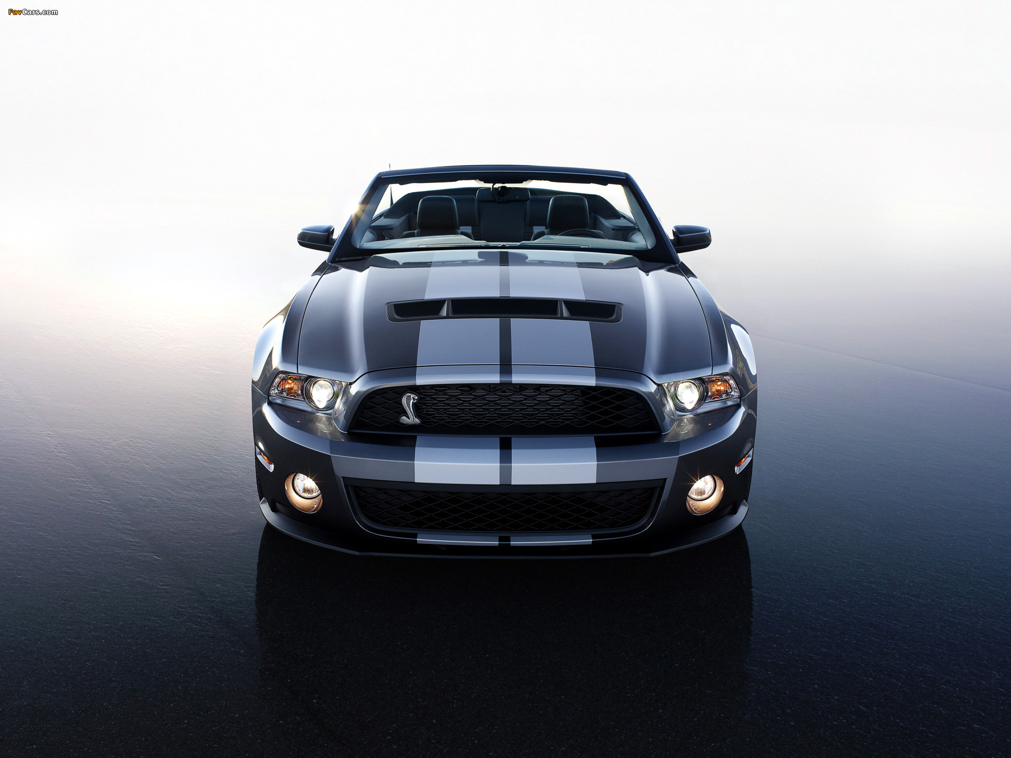 Shelby GT500 Convertible SVT 2009–10 wallpapers (2048 x 1536)