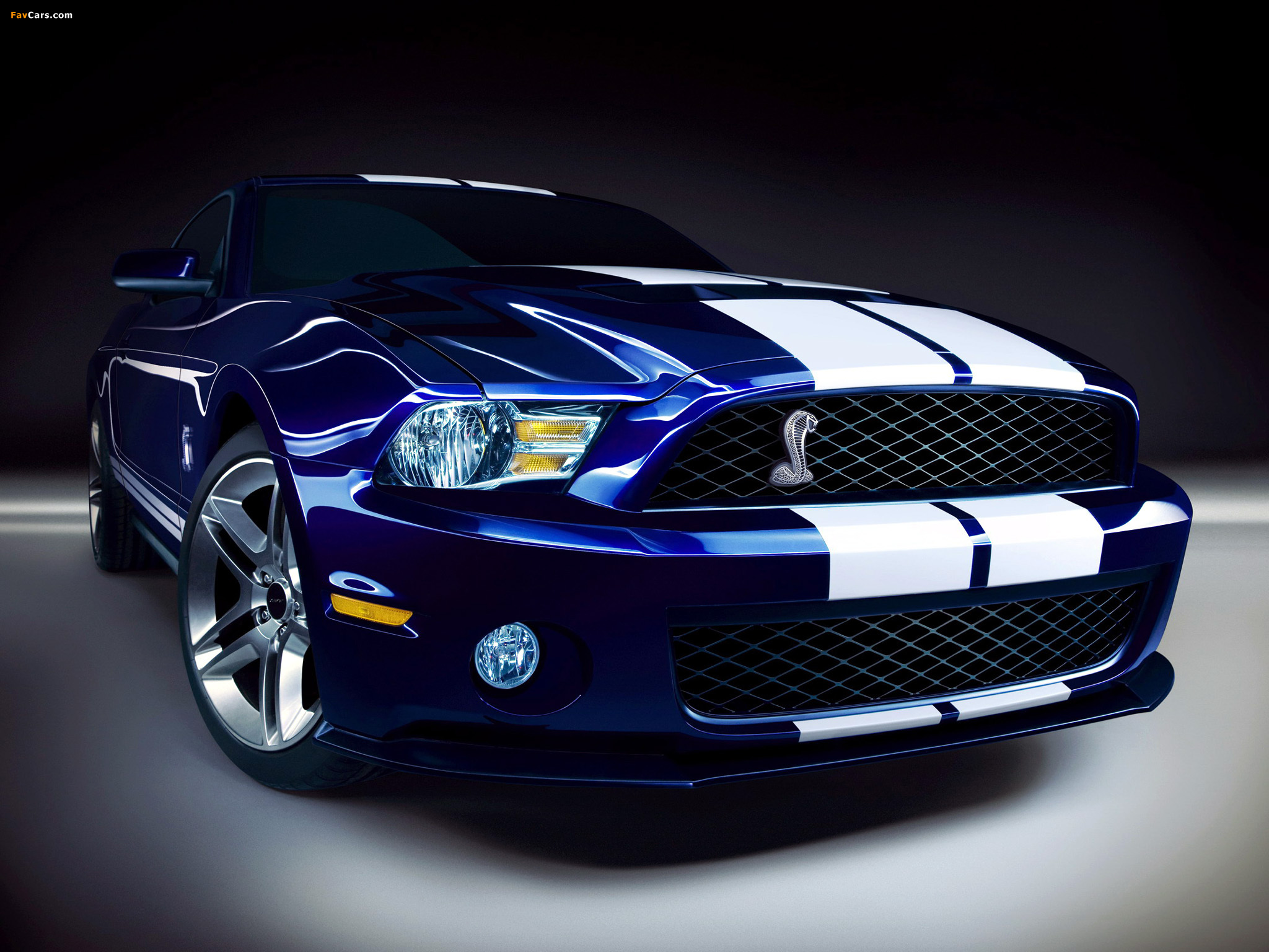 Shelby GT500 2009–10 wallpapers (2048 x 1536)