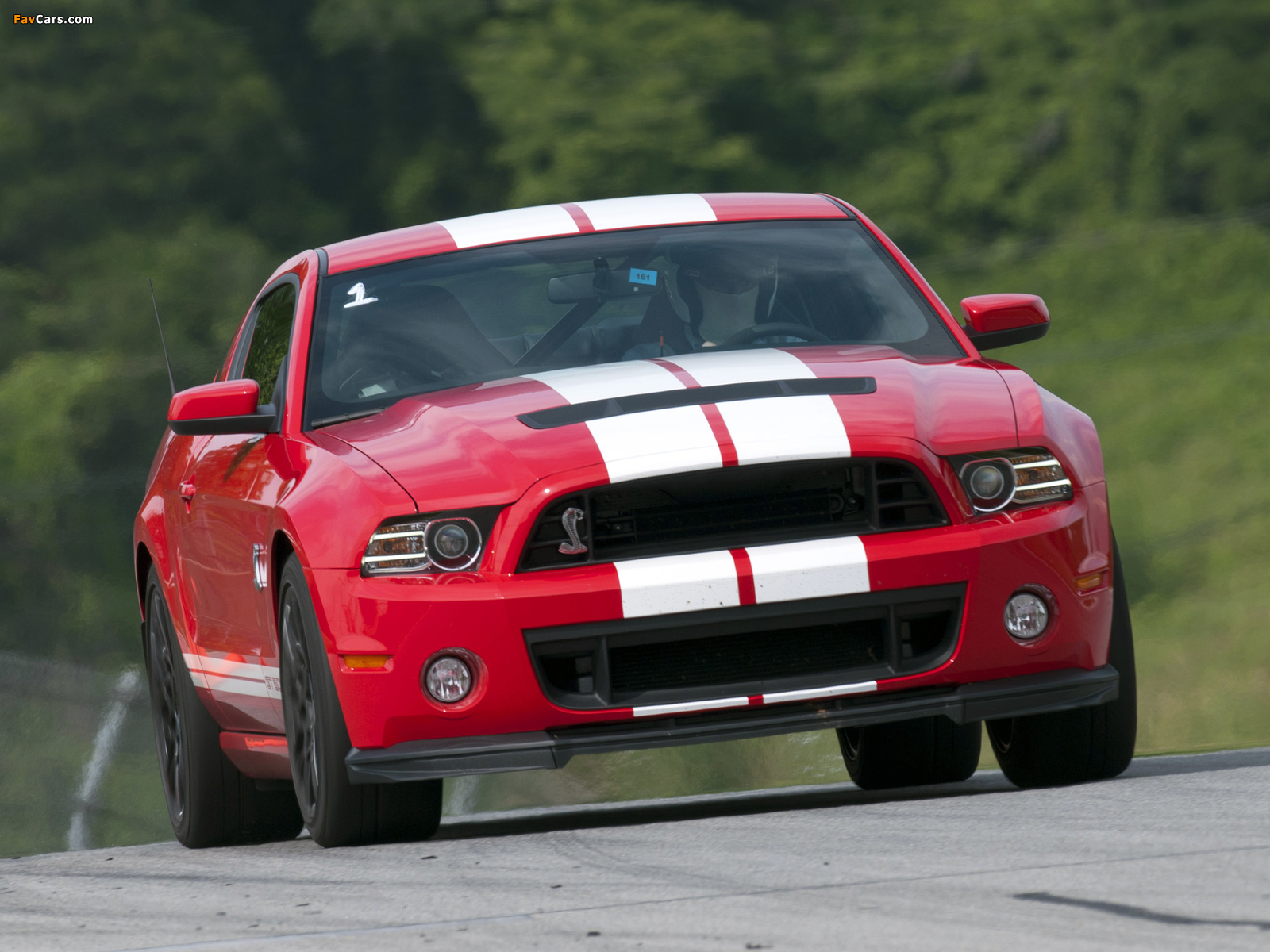 Shelby GT500 SVT 2012 images (1600 x 1200)