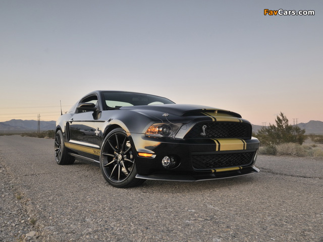 Shelby GT500 Super Snake 50th Anniversary 2012 wallpapers (640 x 480)