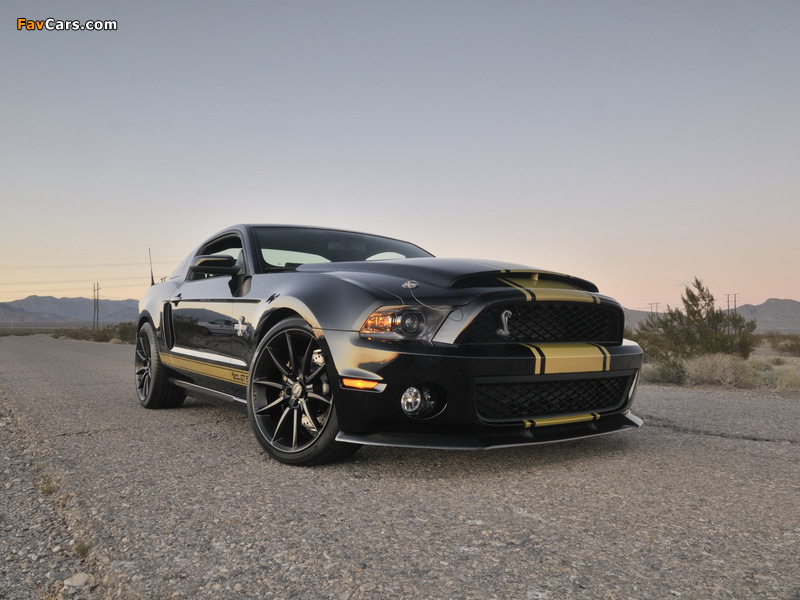 Shelby GT500 Super Snake 50th Anniversary 2012 wallpapers (800 x 600)