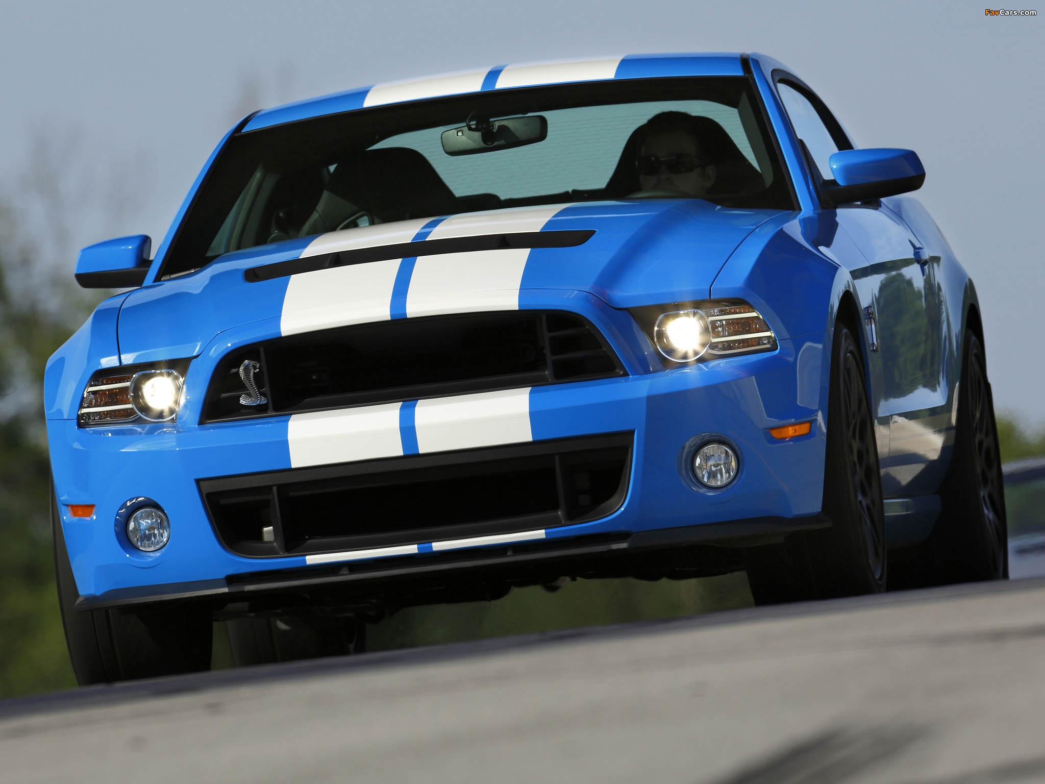 Shelby GT500 SVT 2012 wallpapers (2048 x 1536)
