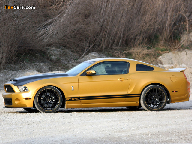 Geiger Shelby GT640 Golden Snake 2011 photos (640 x 480)