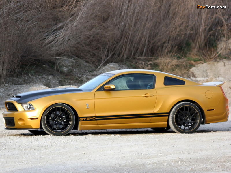 Geiger Shelby GT640 Golden Snake 2011 photos (800 x 600)