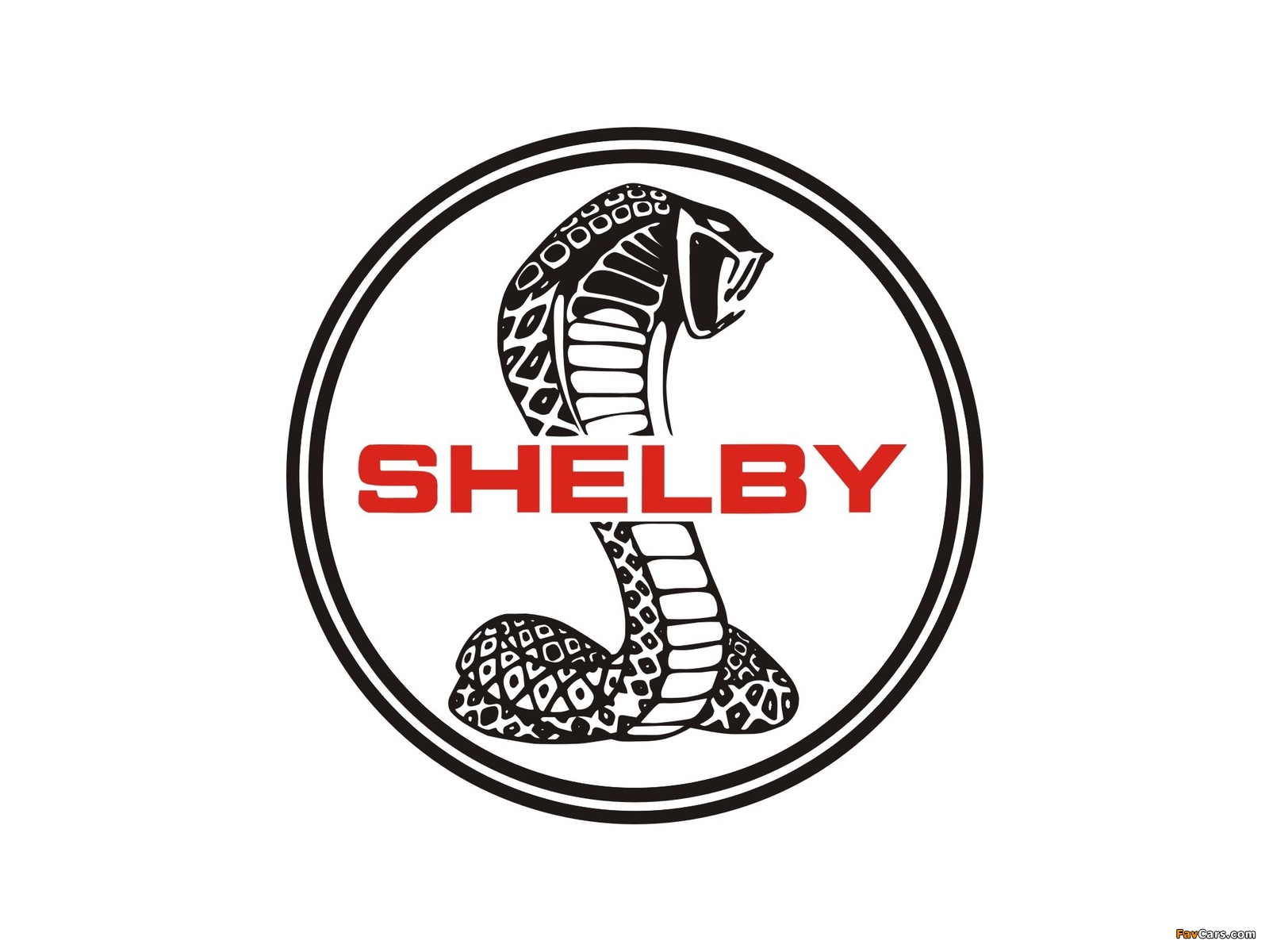 Shelby wallpapers (1600 x 1200)