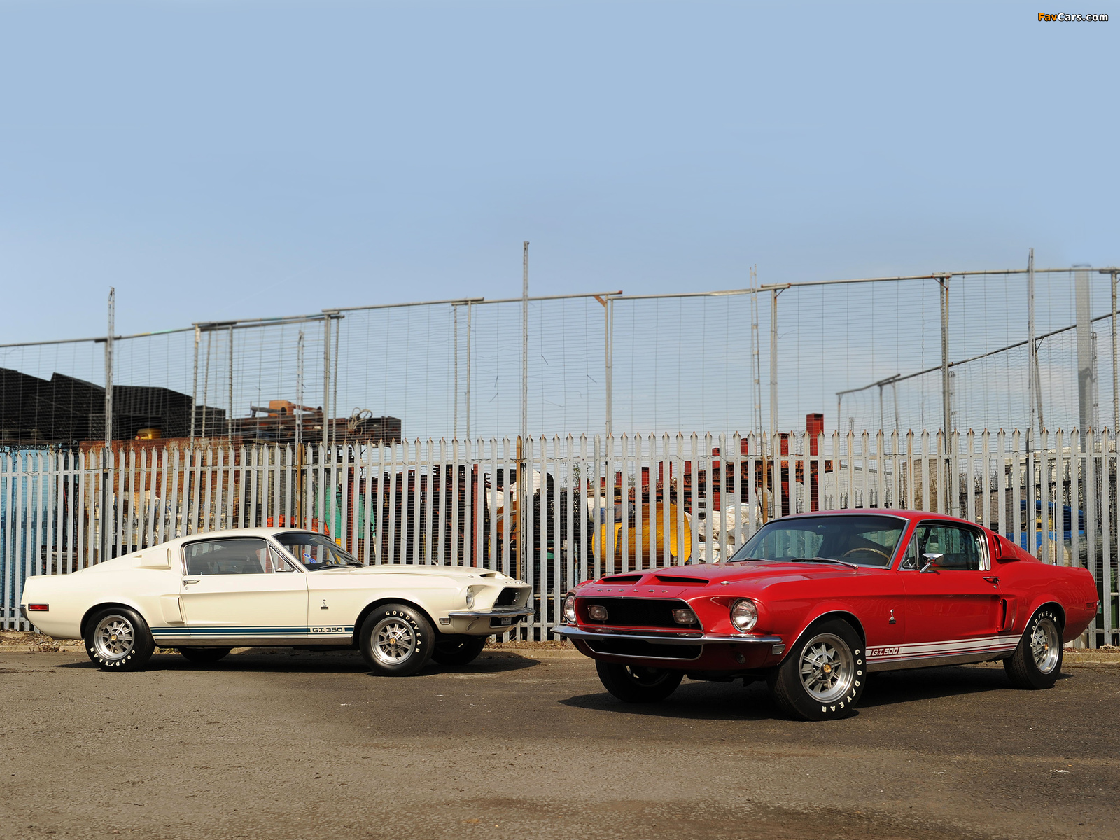 Photos of Shelby GT350 & GT500 1968 (1600 x 1200)