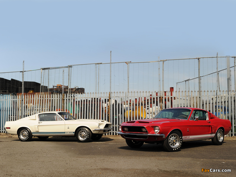 Photos of Shelby GT350 & GT500 1968 (800 x 600)