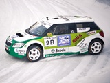 Images of Škoda Fabia Trophée Andros (5J) 2010