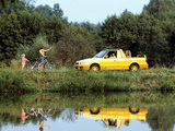 Images of Škoda Felicia Fun (Type 796) 1996–2000