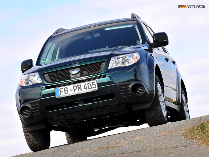 Images of Subaru Forester 30 Jahre (SH) 2010 (800 x 600)