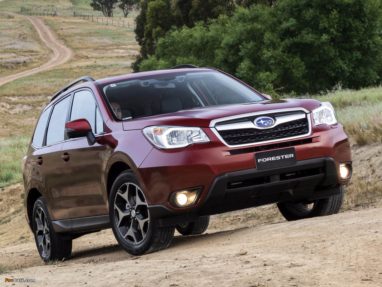 Pictures of Subaru Forester 2.5i-S AU-spec 2012 (1280 x 960)