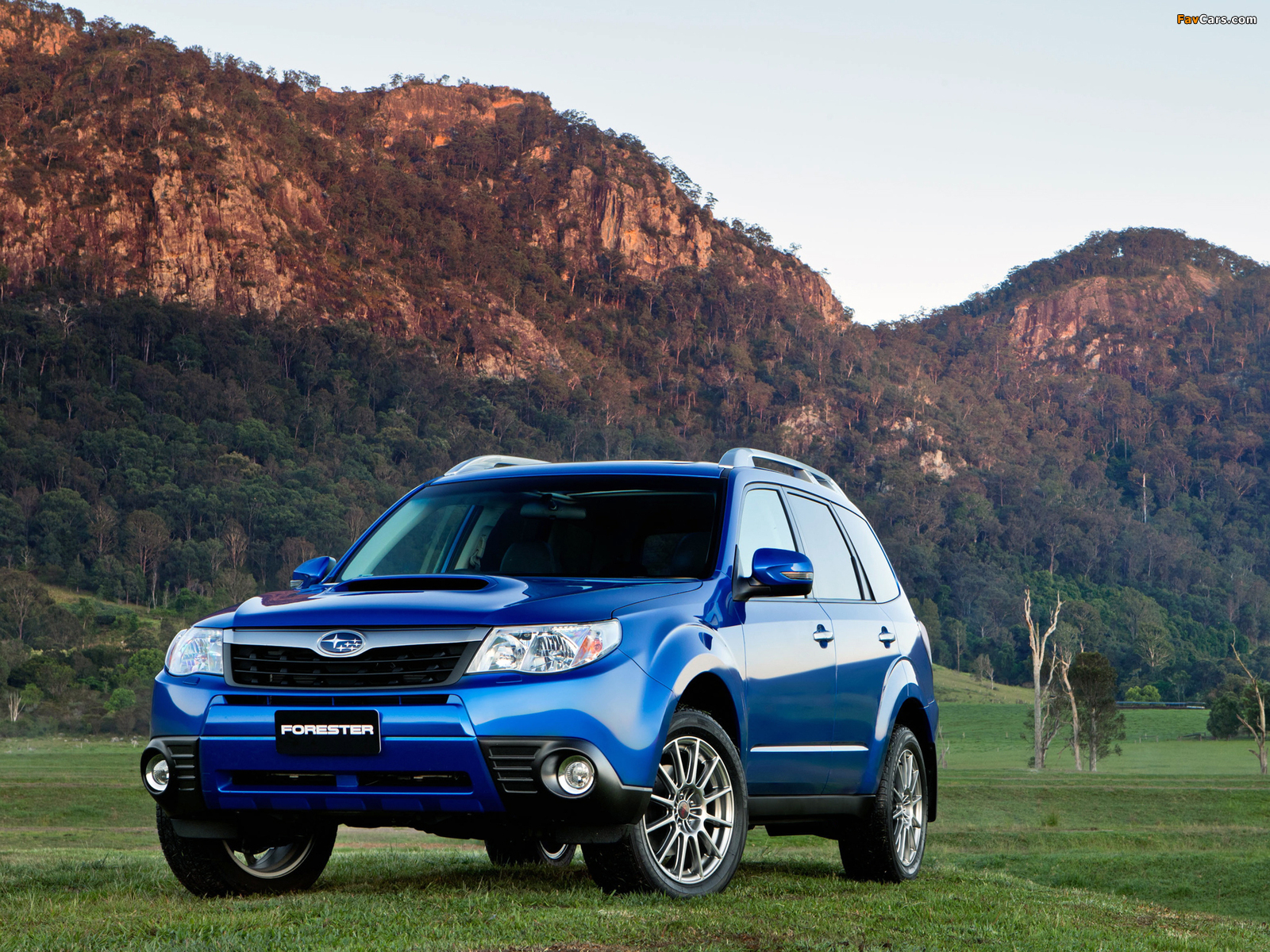 Subaru Forester S-Edition 2010 pictures (1600 x 1200)