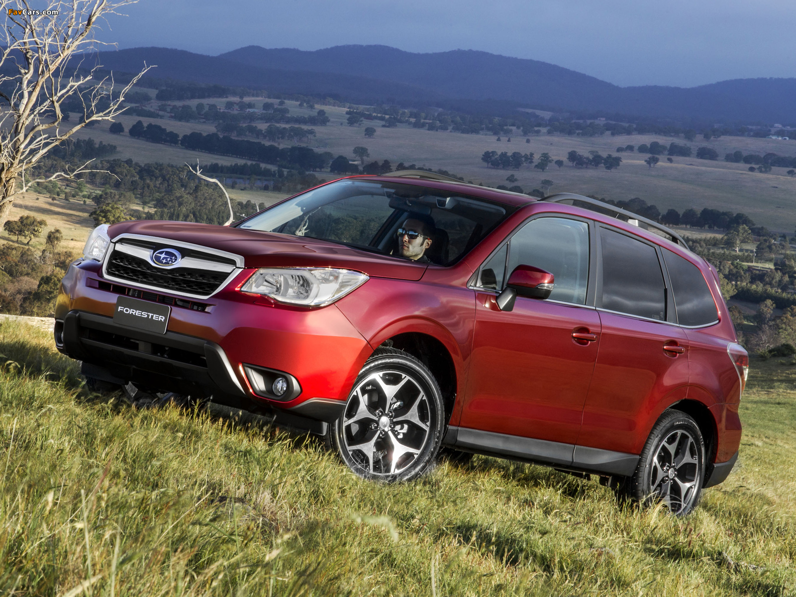 Subaru Forester 2.5i-S AU-spec 2012 wallpapers (1600 x 1200)