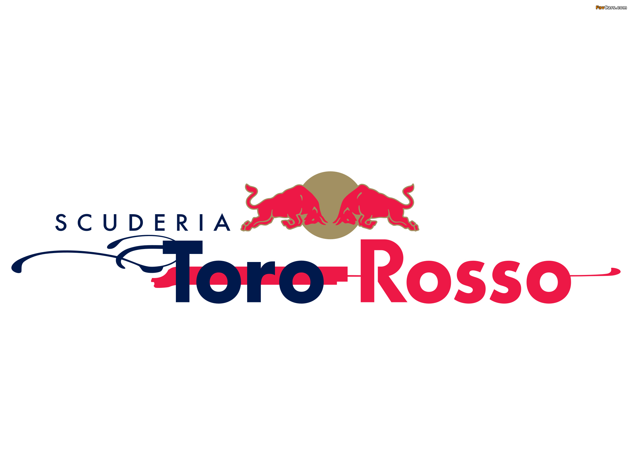 Toro Rosso wallpapers (2048 x 1536)