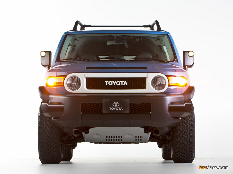Images of Toyota FJ Cruiser Trail Teams Ultimate (GSJ15W) 2014 (800 x 600)