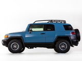 Pictures of Toyota FJ Cruiser Trail Teams Ultimate (GSJ15W) 2014