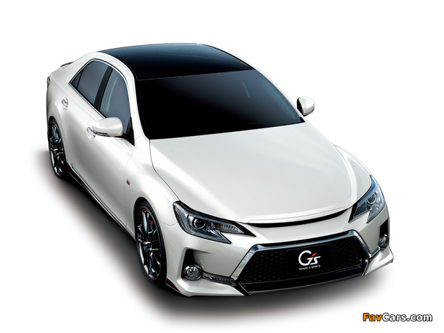 Toyota Mark X 350 S Gs Carbon Roof Version (GRX140) 2013 images (640 x 480)