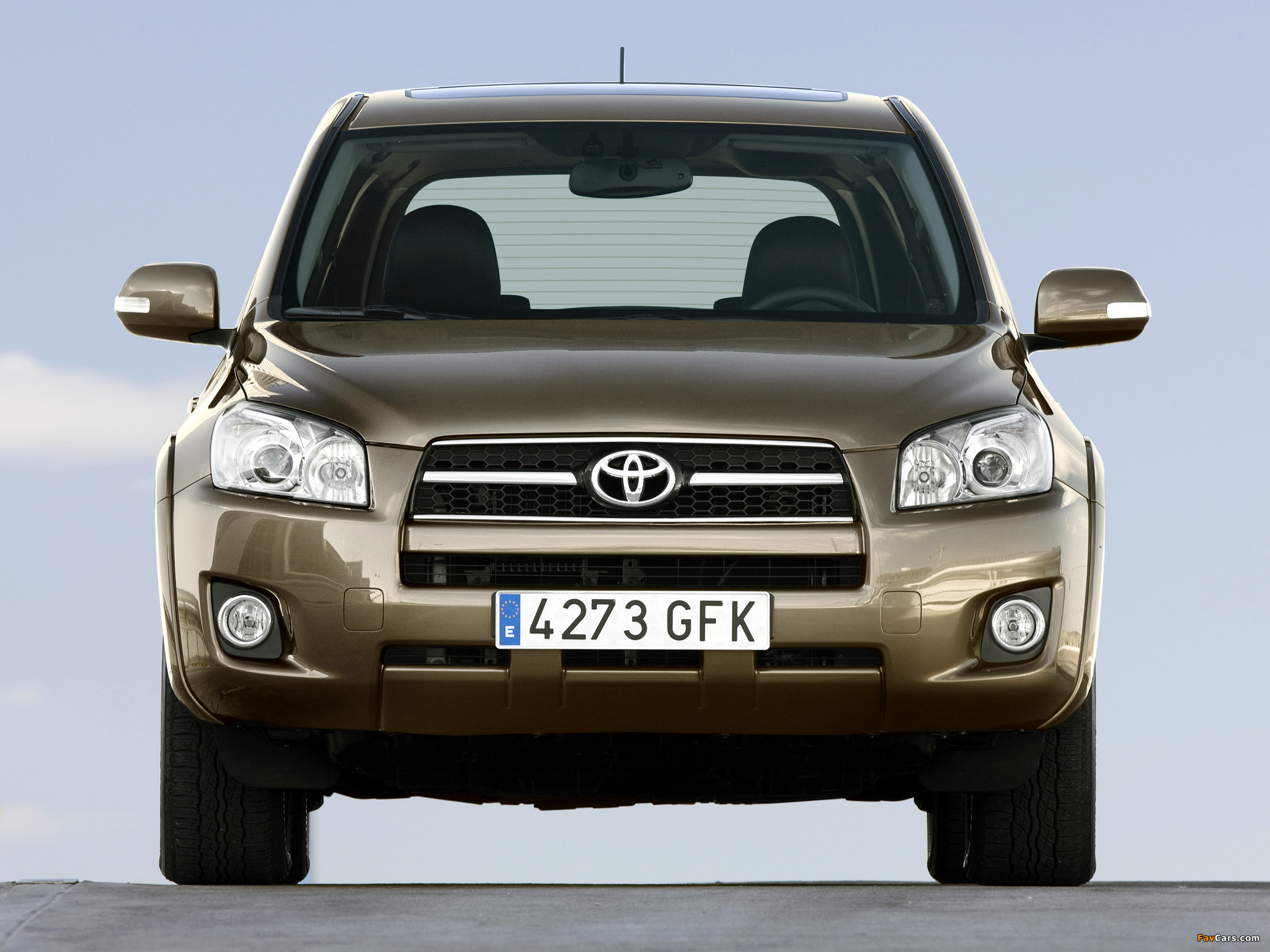 Pictures of Toyota RAV4 2008–10 (2048 x 1536)