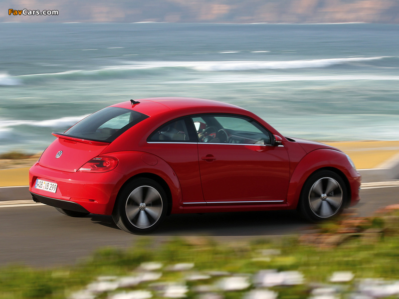Images of Volkswagen Beetle 2011 (800 x 600)
