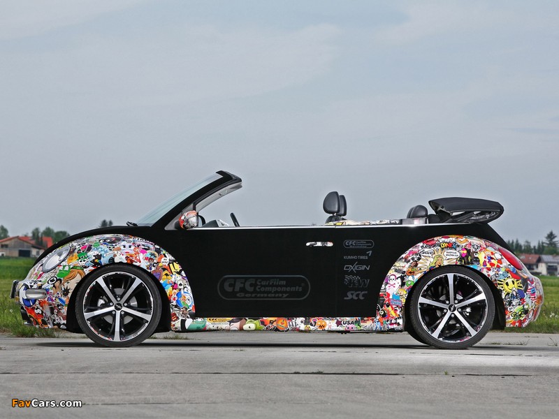 Images of CFC Volkswagen New Beetle Cabrio 2011 (800 x 600)