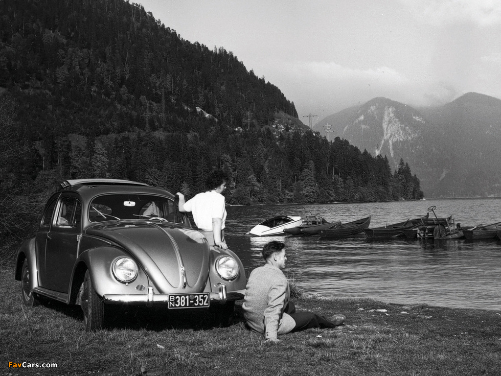 Photos of Volkswagen Käfer 1100 (Typ 11) 1949–53 (1024 x 768)