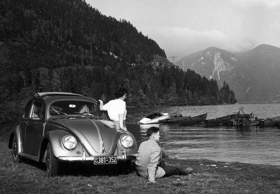 Photos of Volkswagen Käfer 1100 (Typ 11) 1949–53
